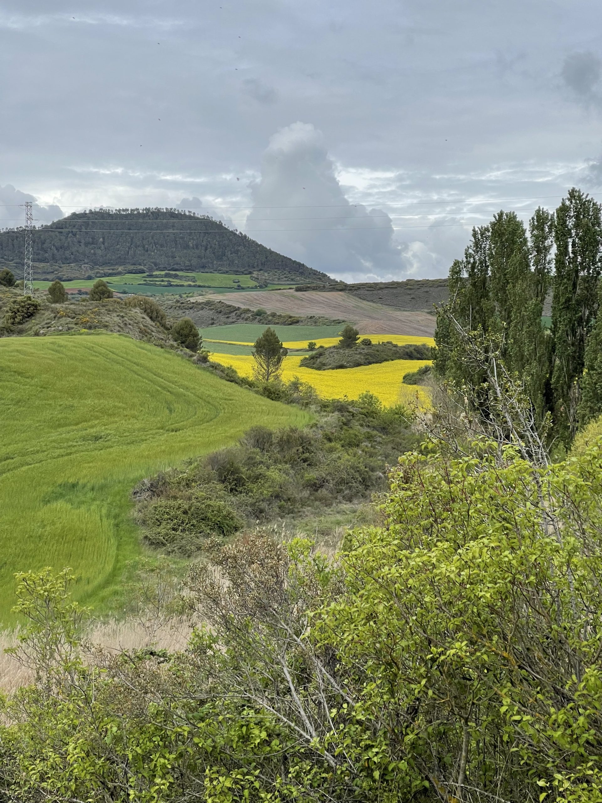 Grossi oggi era una sequenza di passaggi così, una collina dietro l’altra.