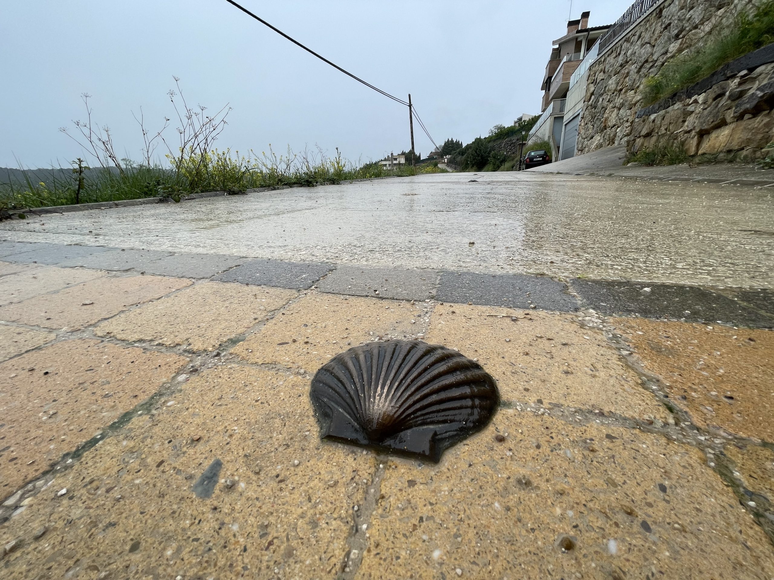 Molti paesini si ingegnano a segnalare il Camino mentre li attraversi. A Òbanos usano queste conchiglie per terra.