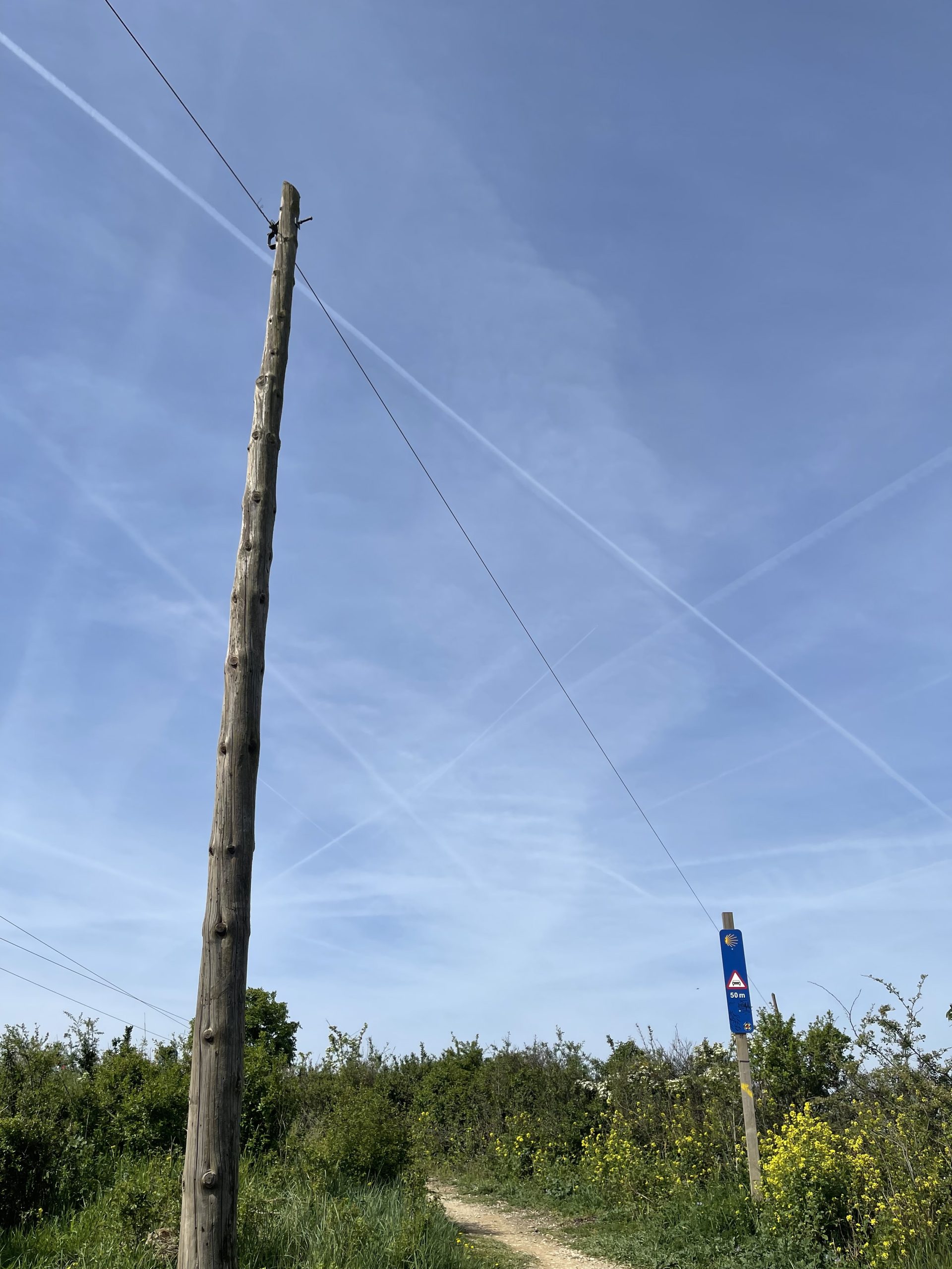 Una scia chimica attaccata a un palo