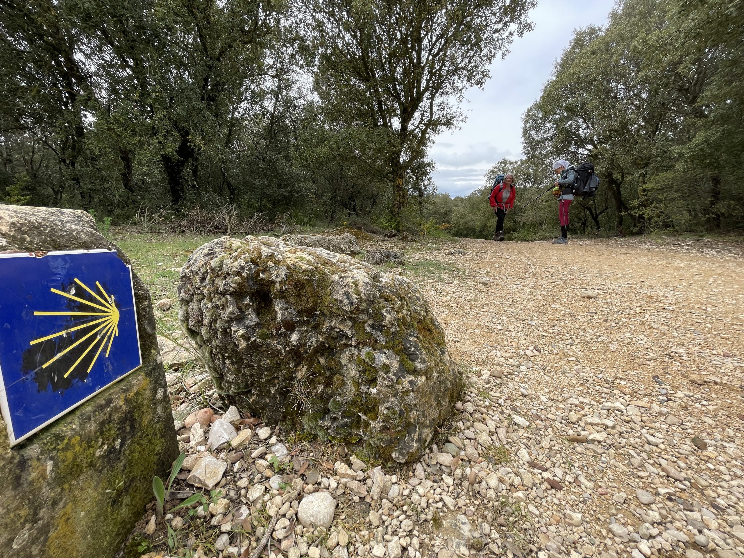 Uno dei tanti segnali che indica la strada lungo il Camino