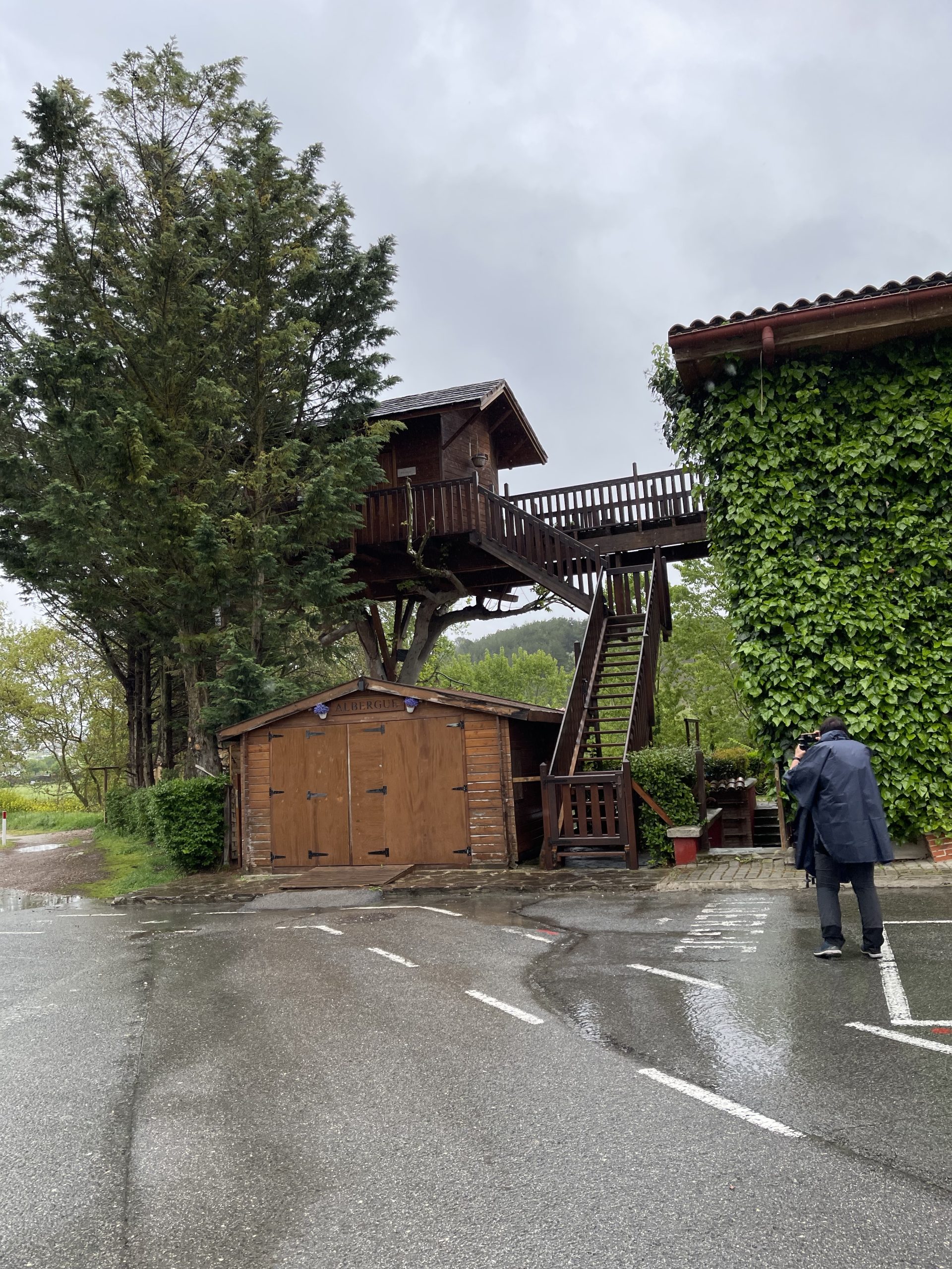 Un albergue su un albero a Puente La Reina