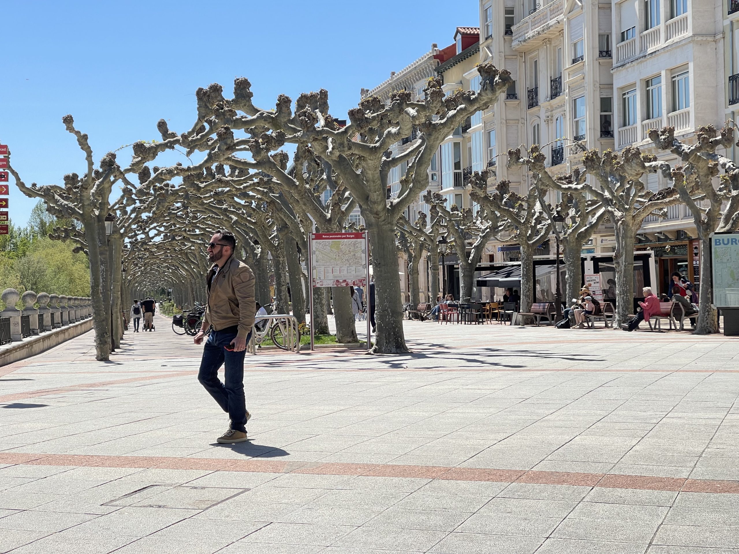 Un altro viale di alberi intrecciati