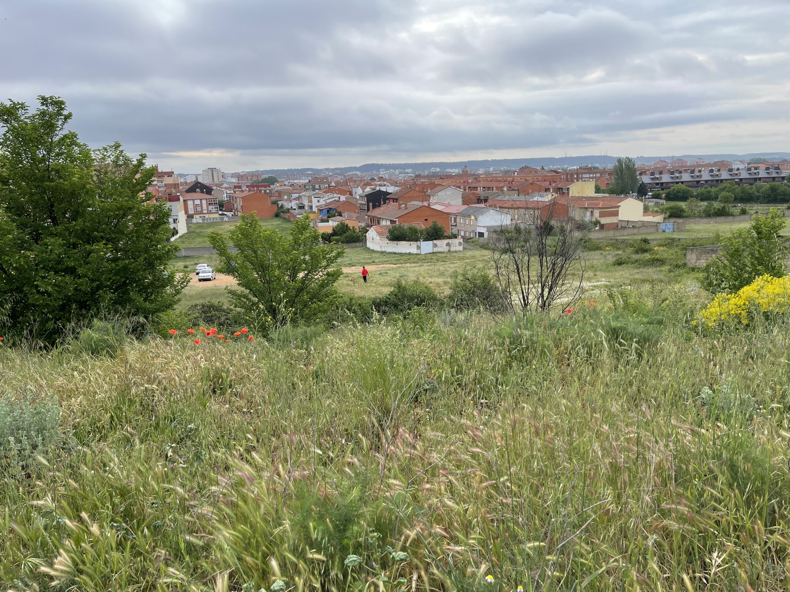 Leon da una zona collinare poco lontana