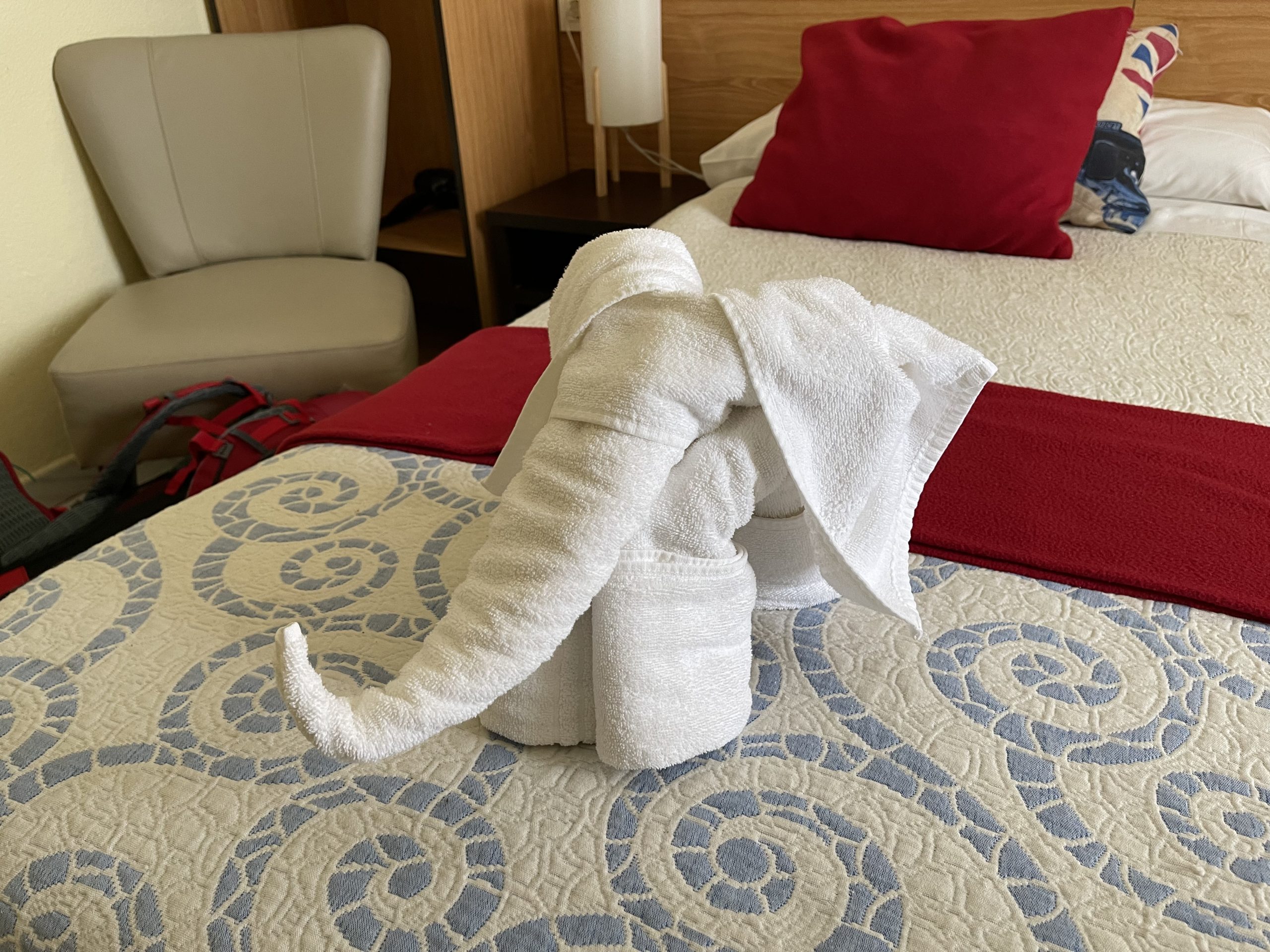 Asciugamani a elefantino nella camera