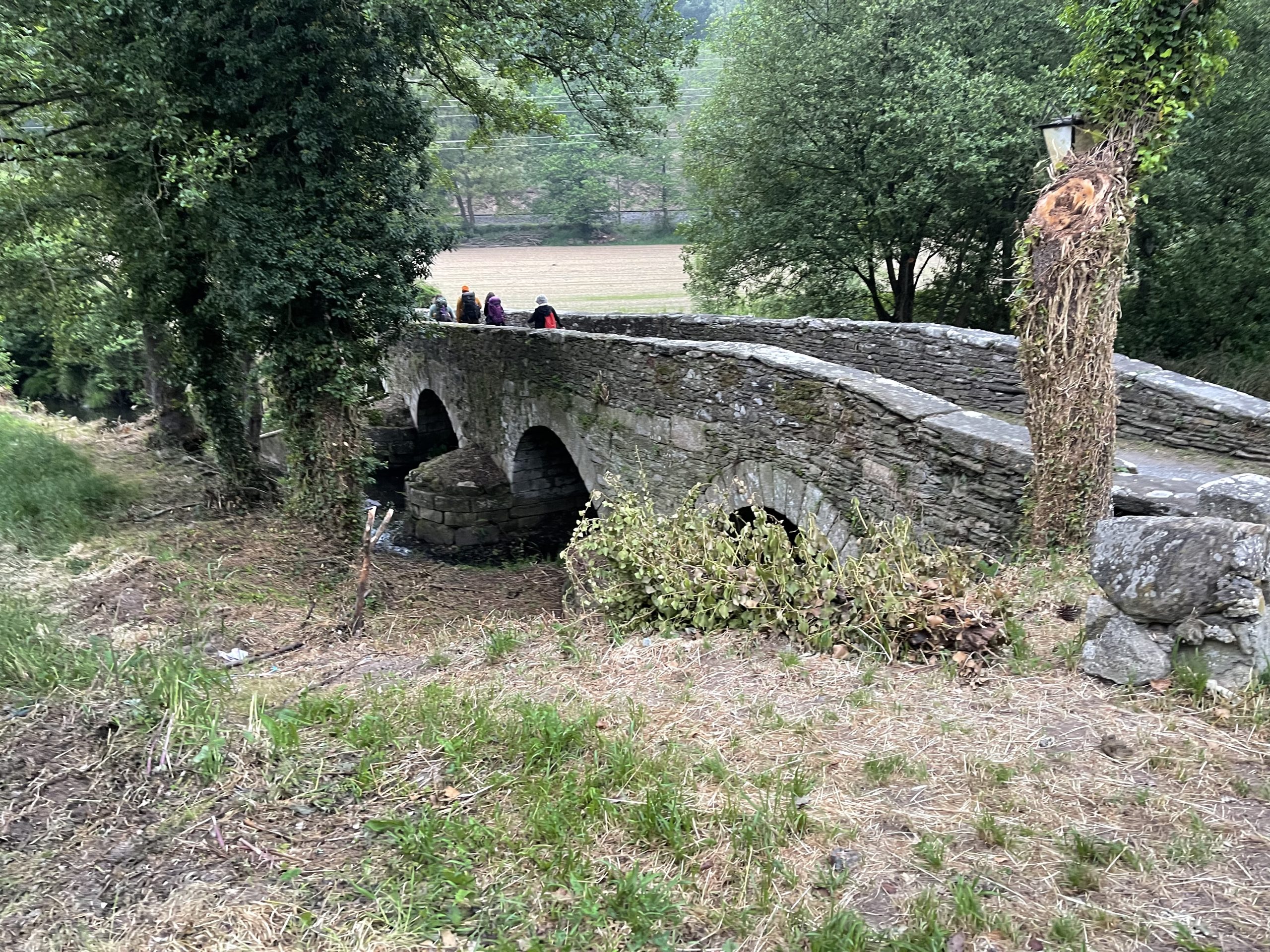 Ponte all’uscita da Sarria